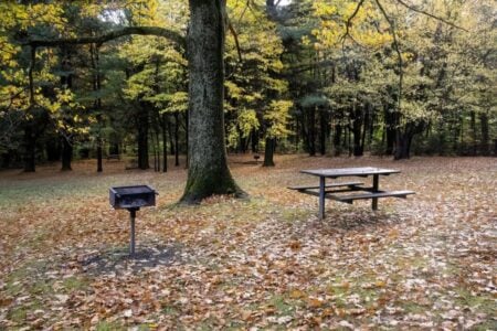 A charcoal grill and wooden picnic table sit on a leaf-covered park lawn under yellow autumn trees.