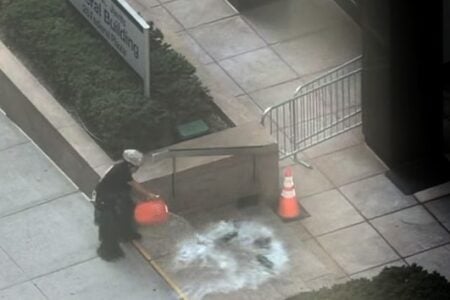 Worker pours absorbent powder from an orange bucket over dead fish on the sidewalk outside the Federal Building.