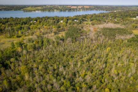Aerial view of expansive Finger Lakes forestland with a large lake and developed shoreline in the distance.